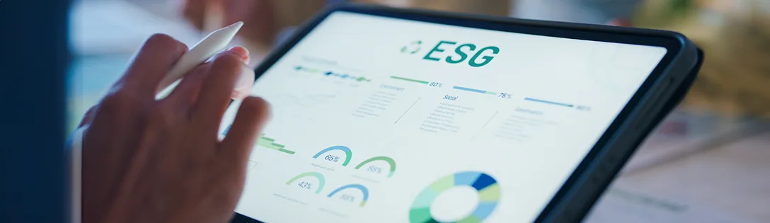 o que é esg