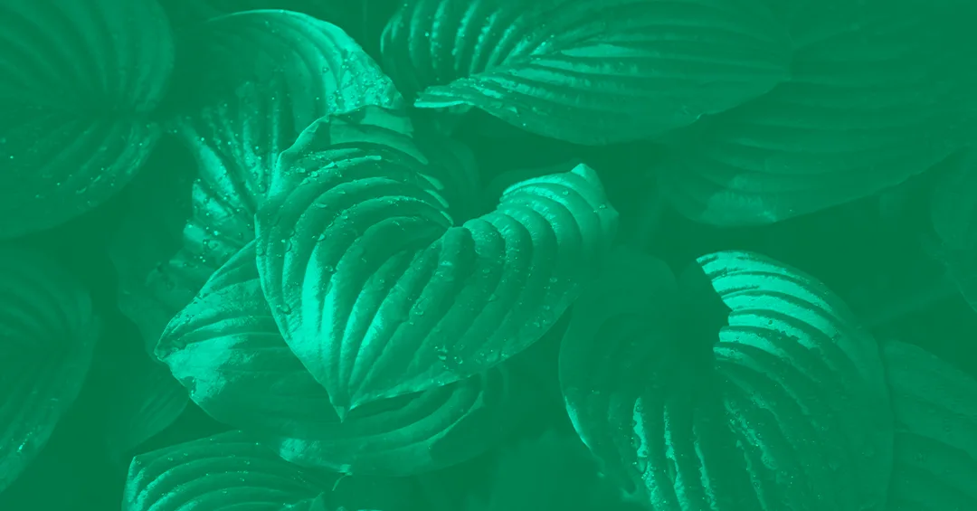 selo de sustentabilidade digital para empresas ambientalmente responsáveis