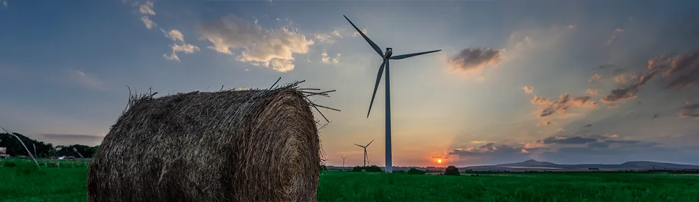 o que é sustentabilidade nas empresas e porque é importante